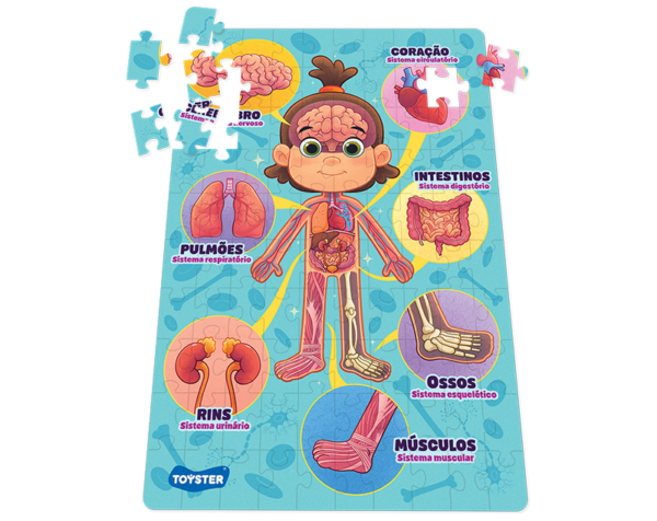 Por dentro do Corpo Humano – quebra-cabeça 100 peças - Image 2