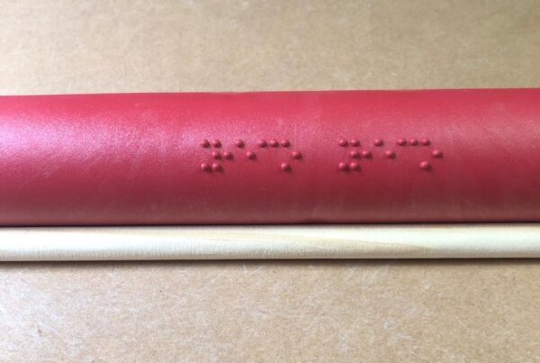 Bandinha Rítmica com Nome em Braille - 20 instrumentos - Image 5